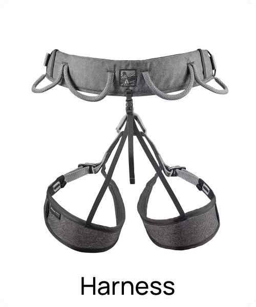 Harness